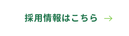 採用情報はこちら
